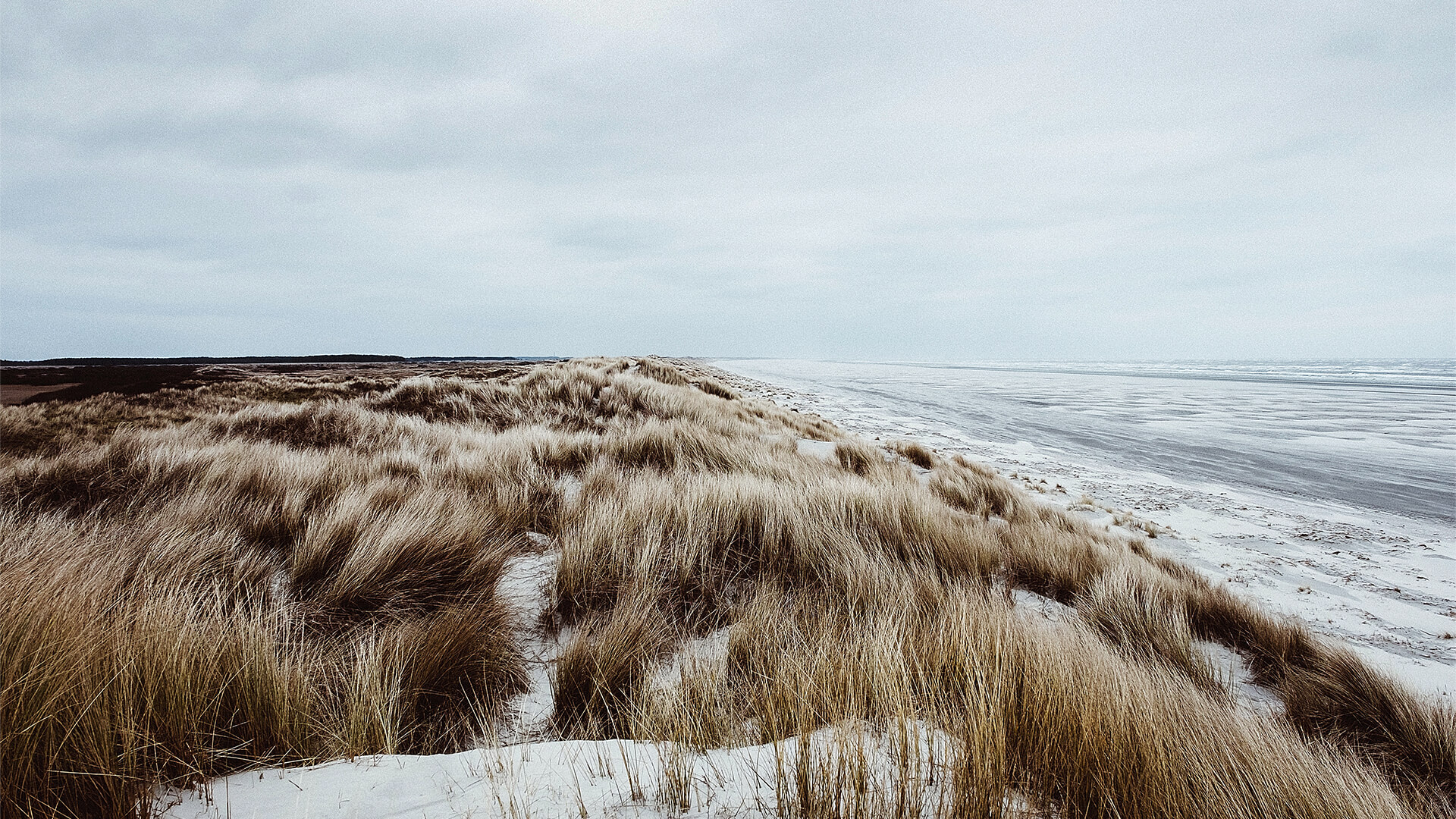 Strand van Ameland