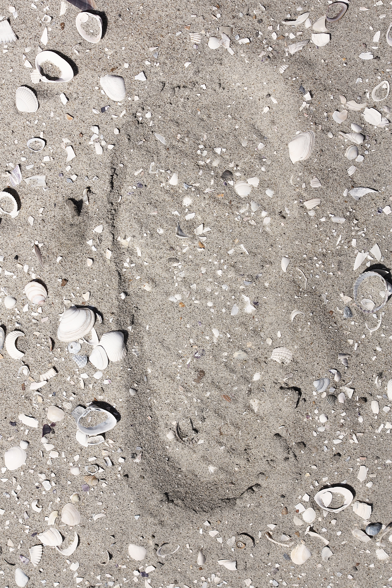voetafdruk in zand met schelpen