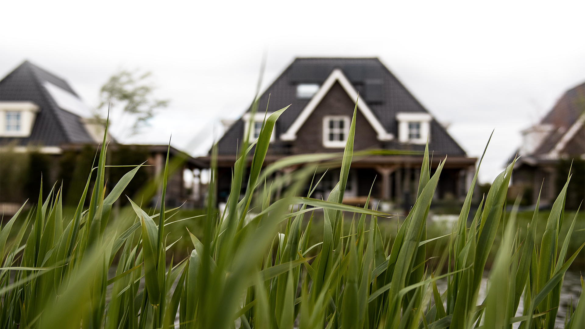 Buitenhof (Lelystad) - woningbouw sfeer