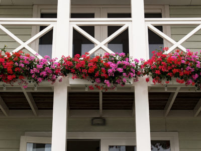 Cape Helius (Hellevoetsluis) - balkon met bloemen