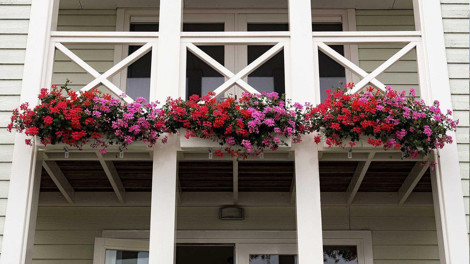 Cape Helius (Hellevoetsluis) - balkon met bloemen