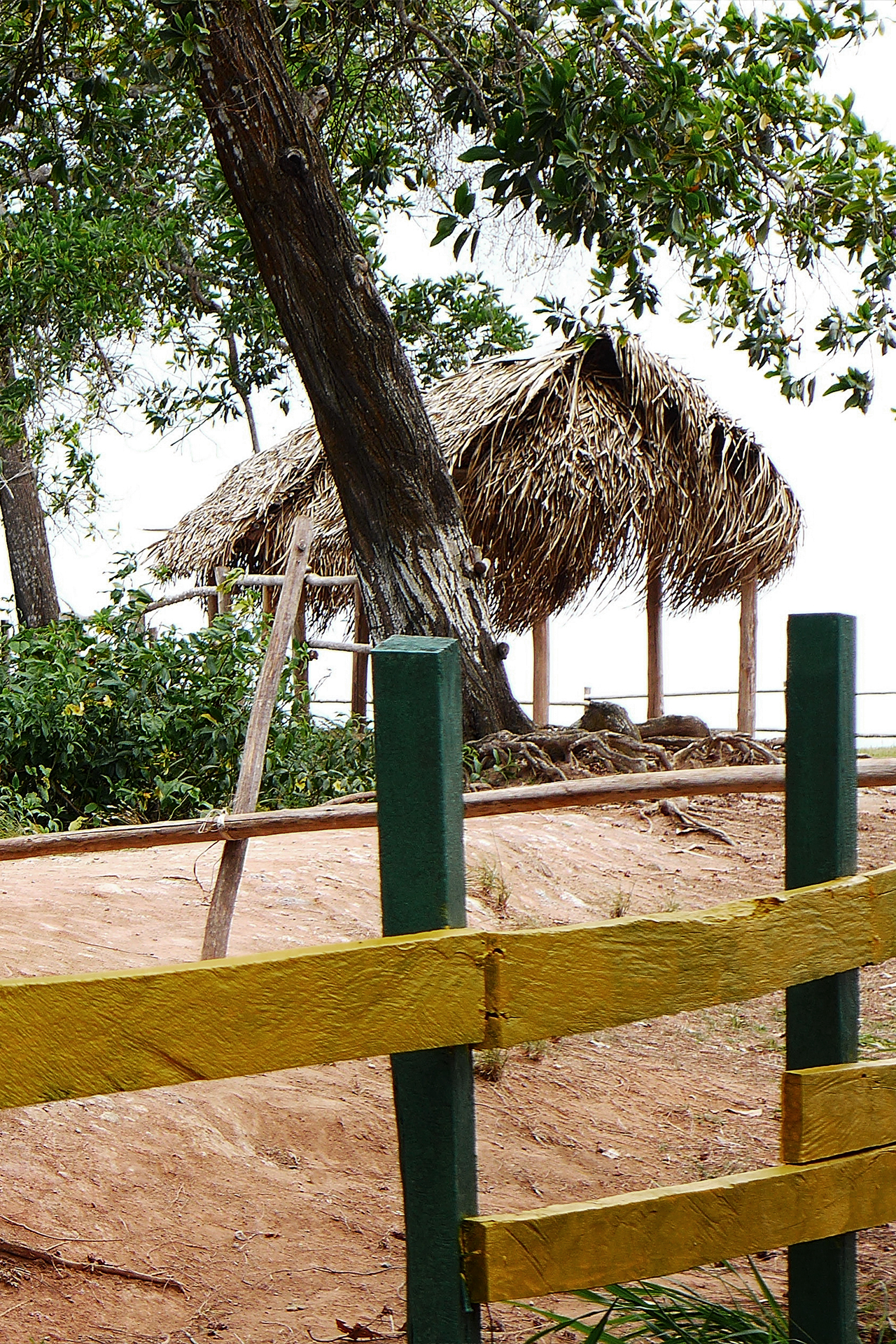 Gatunmeer (Panama) - hut in de omgeving