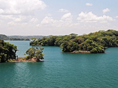 Gatunmeer (Panama) - baai in de omgeving