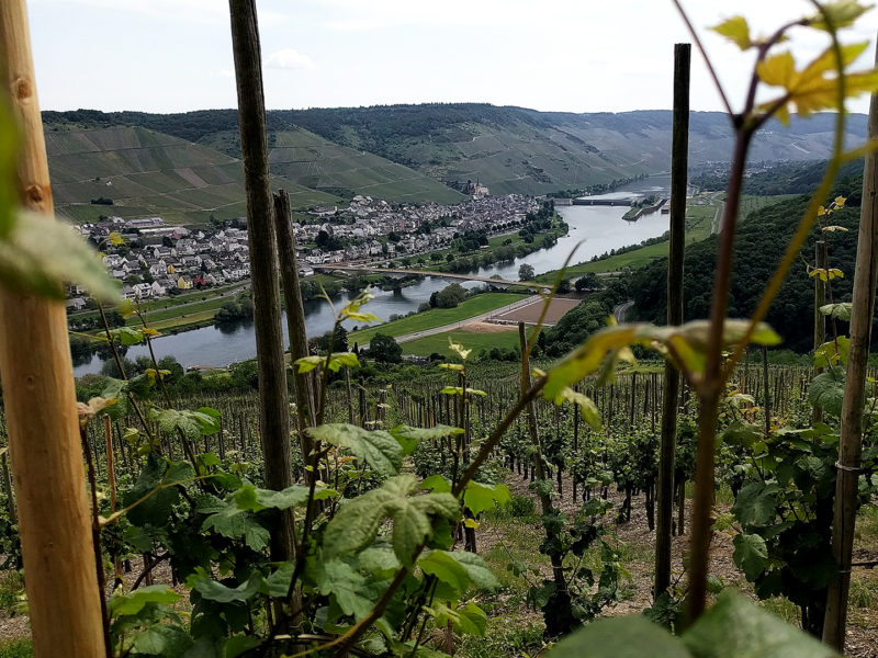 Trier-Koblenz (Duitsland) - wijngaarden aan de Moezel
