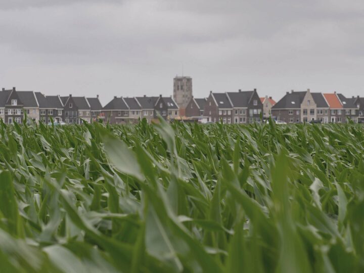 Column ‘wonen gaat in de laatste plaats over woningen’